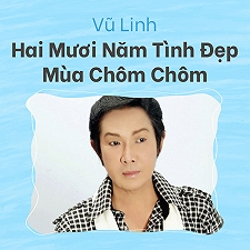Hai Mươi Năm Tình Đẹp Mùa Chôm Chôm - MP3 - Vũ Linh