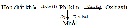 bai-32-luyen-tap-chuong-3-phi-kim-so-luoc-ve-bang-tuan-hoan-cac-nguyen-to-hoa-hoc-hinh-4