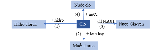 bai-32-luyen-tap-chuong-3-phi-kim-so-luoc-ve-bang-tuan-hoan-cac-nguyen-to-hoa-hoc-hinh-5