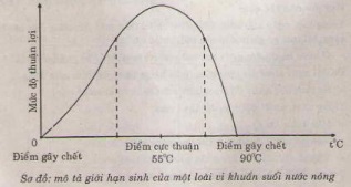 bai-41-moi-truong-va-cac-nhan-to-sinh-thai-4